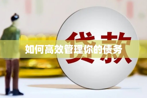 玉环如何高效管理你的债务