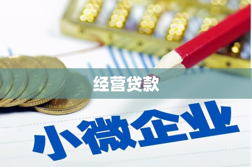 玉环经营贷款