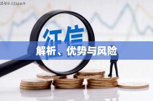 玉环解析、优势与风险