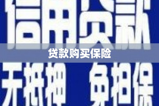 玉环贷款购买保险