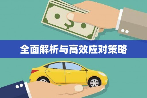 玉环全面解析与高效应对策略
