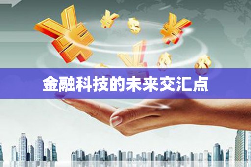 玉环金融科技的未来交汇点