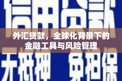 玉环外汇贷款，全球化背景下的金融工具与风险管理
