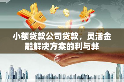 玉环小额贷款公司贷款，灵活金融解决方案的利与弊